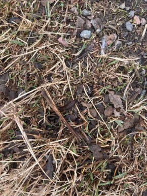 �� ������������ ������ �������� ��������� �������