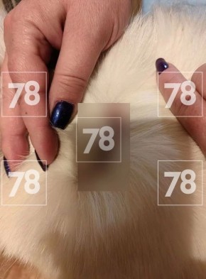 ����� �� ���������� ����� ������ �������� �� ����������� ������ �������