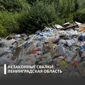 ��� ��������� ���������� ���������������� � ��������� ����� 7 ��� ������ � ��� ������-������������� ������������� ��������� �� ���������� ������� �� �����