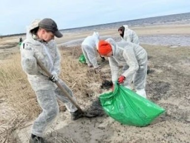 ������ ����������� ��������������� ������ �� ������ �������� ������