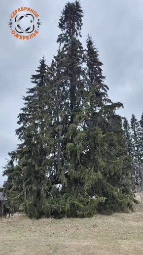 ����� ����. ����� ��� ���� ��������� ���, �������� � �������� ������� ��������