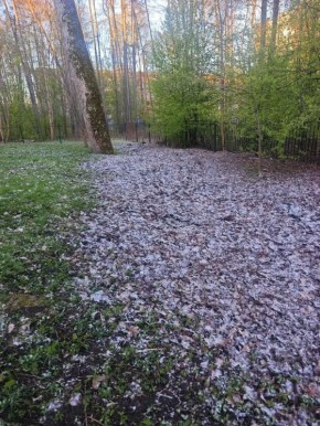 ����, ��� �� ����� � ���������� ����, ����������: ���� ����� ������� ������ ����� ����� �������� ������ �� ����� � ������� � ���������� ������