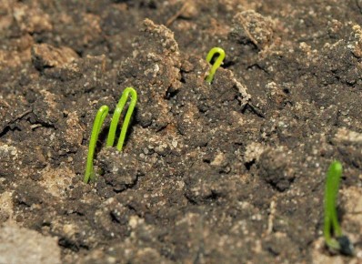 ����������� �����: ��������� �����������