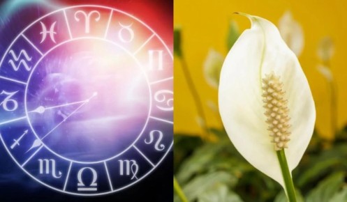 ������� ��������: � ������� ���������� ��������� ����� �� ����� �������