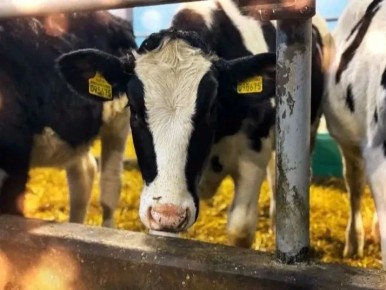 ������������� ������� - ��� ������ � ������, �������, ����� � ���������