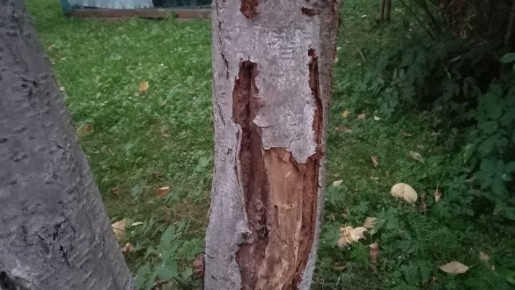 �������� ���������� ��� ��������: ��� ����������� ����� � ���������������� ������