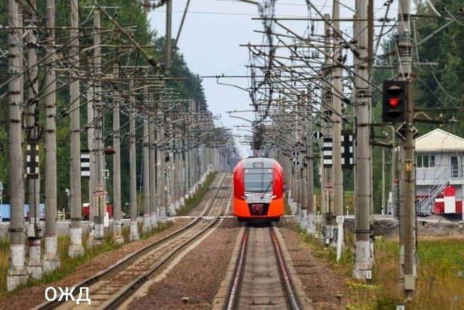 Из Петербурга в Выборг запускают «Ласточку» без остановок