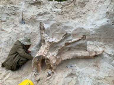 ���������� ��������� �� ���������� �������� �������� ����-������