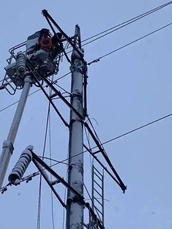 Снегопады и шквалистый ветер принесли в Ленобласть массовые отключения электричества
