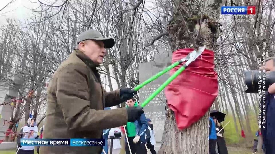 Ленинградская область присоединилась к Всероссийскому субботнику