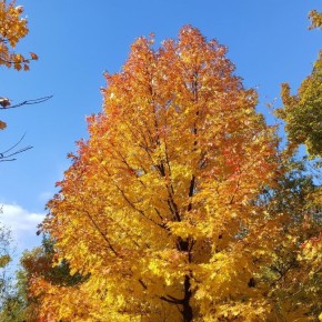 ������ ������� ����� ������� ����� ��������� ������ ������: ��������� ����