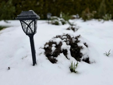 "������ ������� � ���� � ������