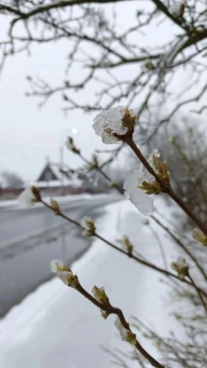 ��������� ��������� ��������� �������� ����������� ��������� � ����������