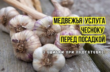 ������ ��� ���������� ������� �������: ��� �������� ������� � ��������