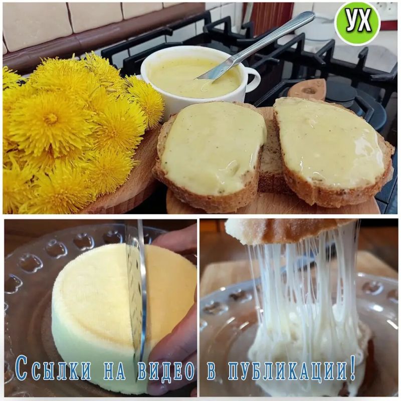Сыр в домашних условиях: как создать кулинарное волшебство самостоятельно