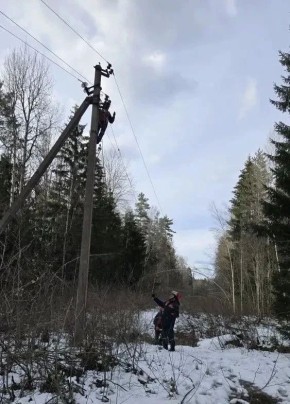 ���������� ���������� ���������� ��������������� ���������������� ����� ������