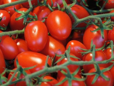 ������ ����� �������: ������ ������� ������ ��� ������ ������