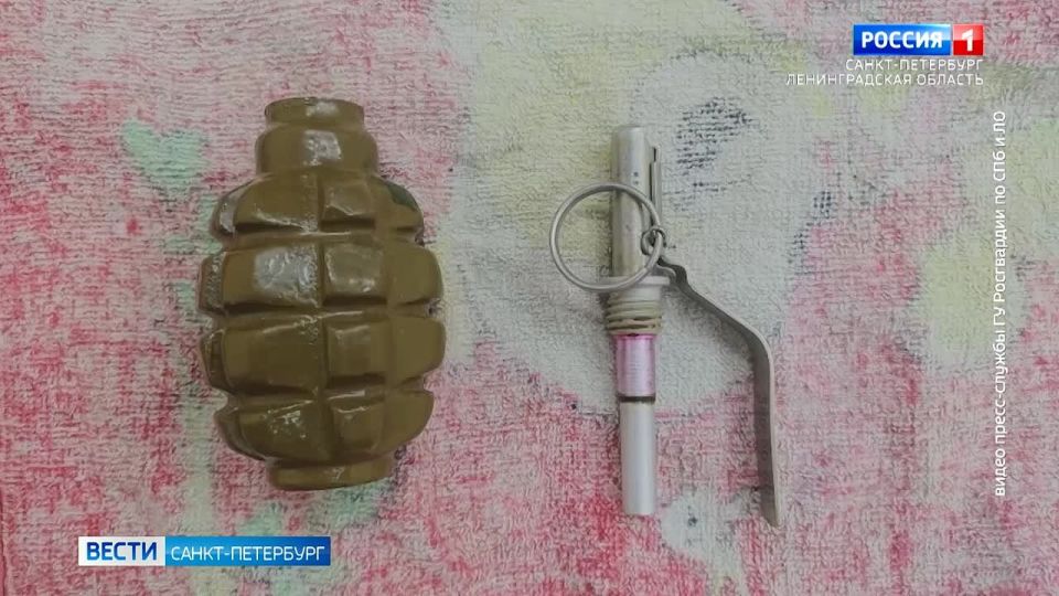 Сотрудники ОМОН "Балтика" уничтожили боеприпасы, найденные на территории Петербурга и Ленобласти