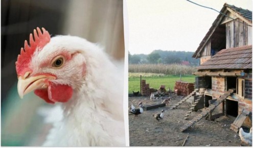 ��� ����������� �������� � ����: ������������ ����������� ��� ���������� ������