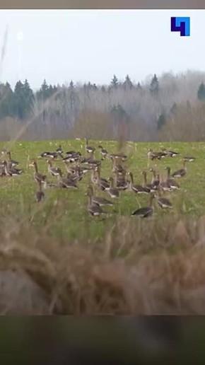 ������ ����� �������� �������� ��������� � ����������� ������ ����������