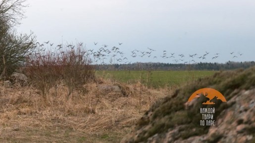 ������ ����� ������������ �� ����� � ����������� ������