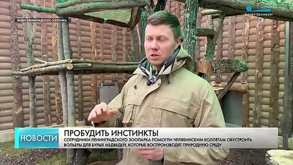Брёвна, гамак и груша для объятий — сотрудники Ленинградского зоопарка помогли обустроить жилище медведей Малыша и Шкоды в Челябинском зверинце