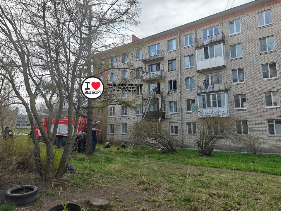 Один человек погиб и двое пострадали при пожаре в Выборге