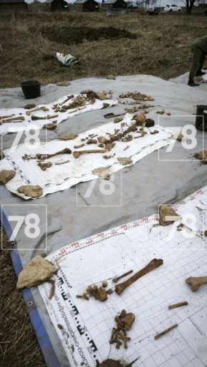 �������� ����������� ����� ��������� ������������� ����� � ����������