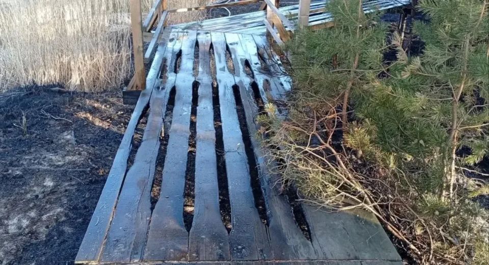 Чуть не спалили экотропу: неизвестные подожгли траву в «Кургальском» заказнике