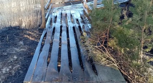 ���� �� ������� ��������: ����������� �������� ����� � ������������ ���������