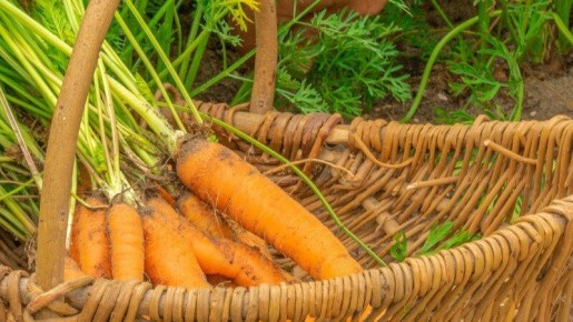 ��� �������� ������� � �������� �������: ������� ��������� ��� ��������