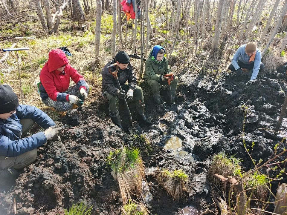 Поисковики нашли останки красноармейцев в рамках экспедиции «Волховский фронт