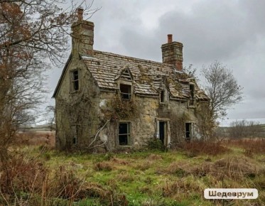 ����� ������� ������� ����������� ���: ��� ������� ��������� � 2025 ����