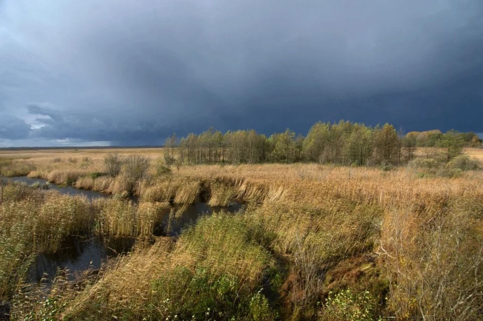 С 1 мая в Ленобласти вводятся весенне-летние тарифы на посещение платных ООПТ
