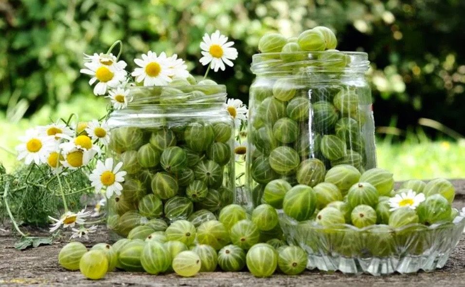 ���������: ������������ �������, ������� ��������� �� ���������� ������������