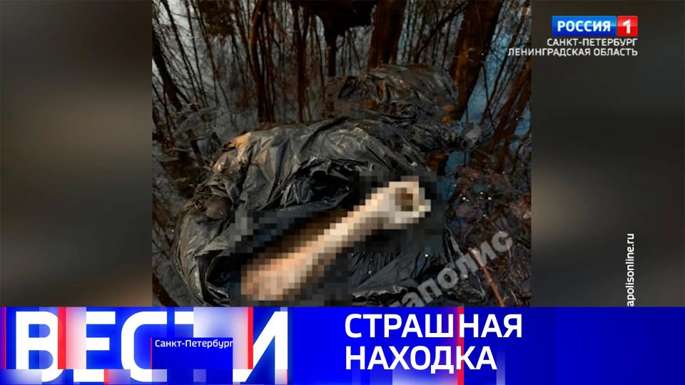 ����� �����-���������. ������ 20.50 �� 02.05.2026