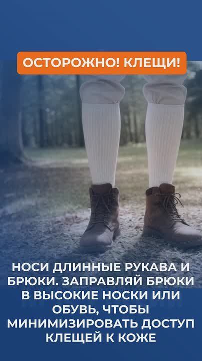 ���������, �����!. ��� ����������:
