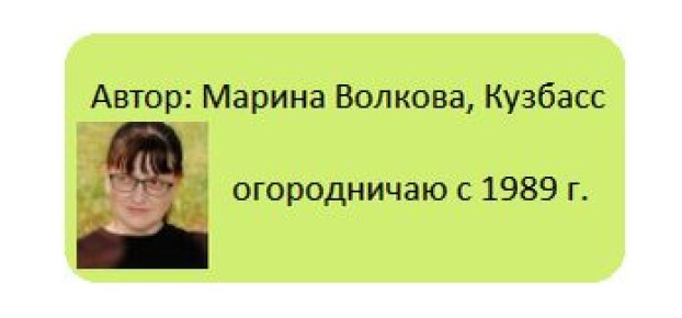 �������� ���� � ������: ��� ������ �� ������� � ���