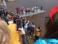 Сегодня в акватории Ладоги на 1200 мальков сига стало больше