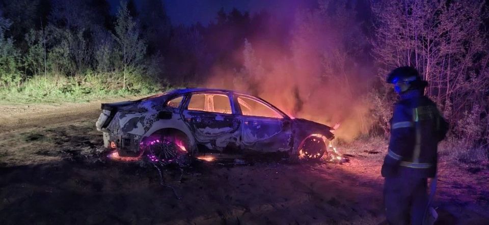 За прошедшую неделю подразделения территориального пожарно-спасательного гарнизона Ленинградской области реагировали на 73 оперативных события: За прошедшую неделю подразделения территориального пожарно-спасательного гарнизона Ленинградской области реагировали на 73 оперативных события: