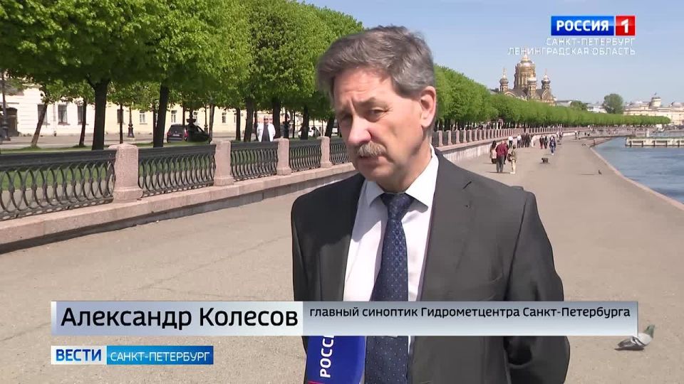 Синоптики прогнозируют в Петербурге жару до +30 градусов