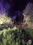 Пассажира насмерть зажало под машиной после ДТП в Ленобласти