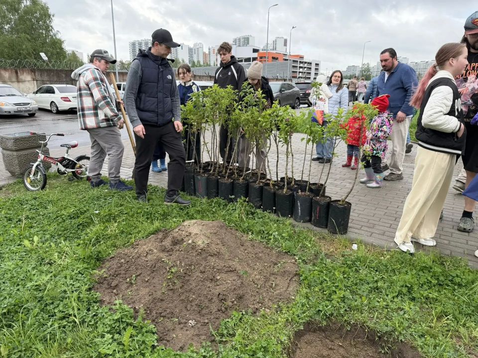 В Мурино высадили кусты сирени с участием многодетных семей Ленобласти В Мурино высадили кусты сирени с участием многодетных семей Ленобласти