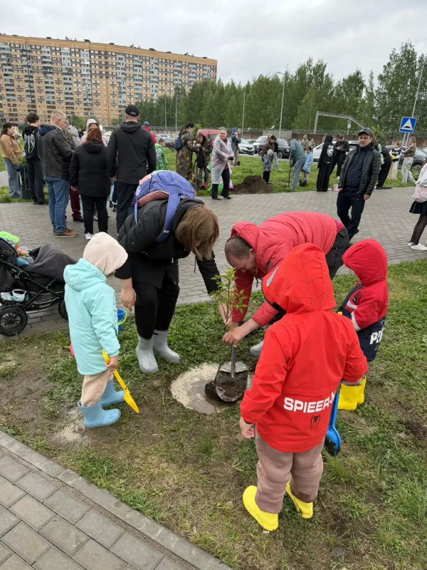 В Мурино высадили кусты сирени с участием многодетных семей Ленобласти В Мурино высадили кусты сирени с участием многодетных семей Ленобласти