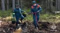 Всероссийский День посадки леса