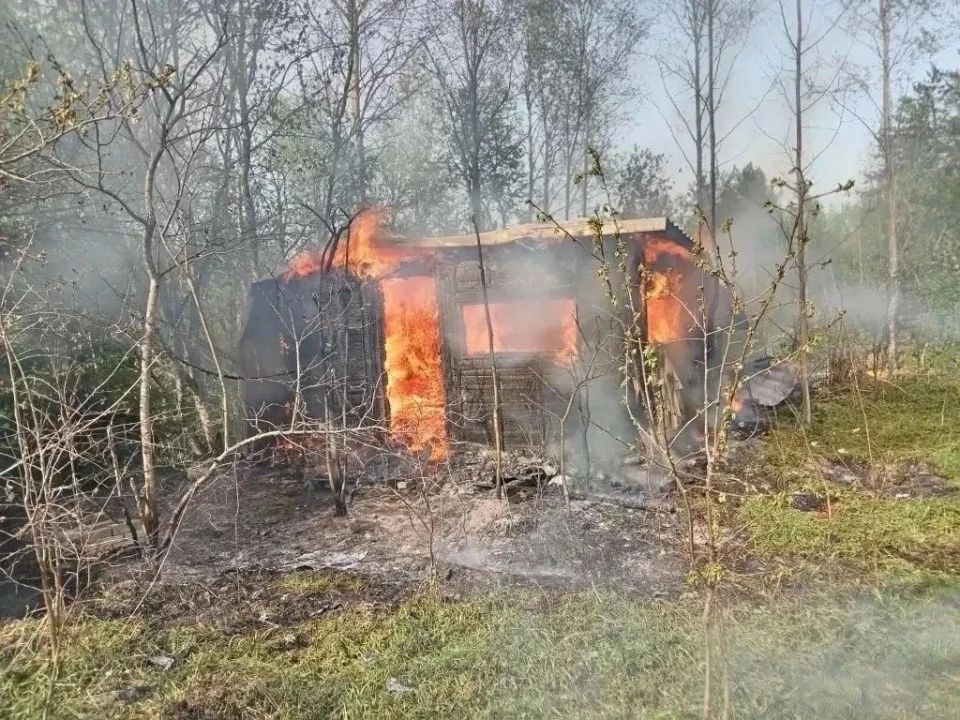 За прошедшую неделю подразделения территориального пожарно-спасательного гарнизона Ленинградской области реагировали на 135 оперативных события: За прошедшую неделю подразделения территориального пожарно-спасательного гарнизона Ленинградской области реагировали на 135 оперативных события: