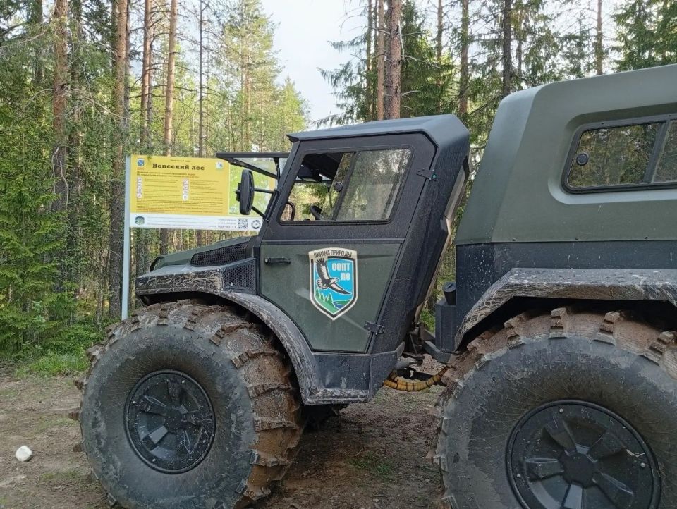 В природном парке «Вепсский лес» изъяли орудия незаконного лова В природном парке «Вепсский лес» изъяли орудия незаконного лова
