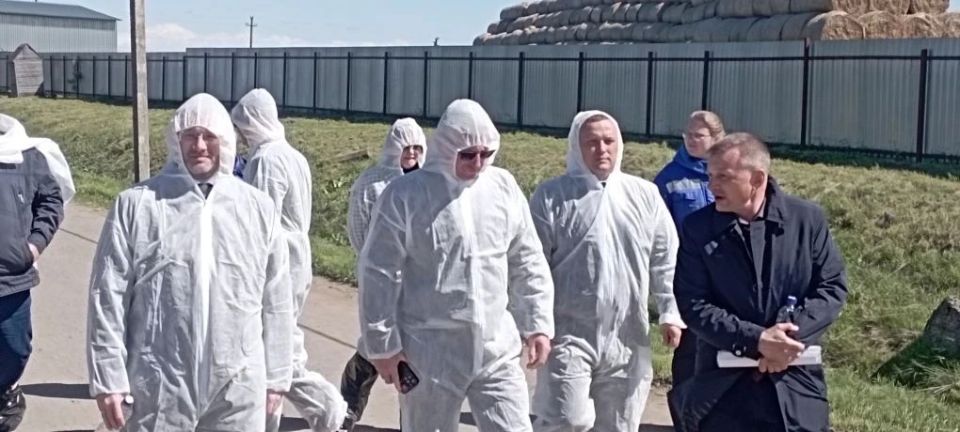 Ленинградская область продолжает укреплять сотрудничество с регионами Беларуси в сфере агропромышленного комплекса Ленинградская область продолжает укреплять сотрудничество с регионами Беларуси в сфере агропромышленного комплекса