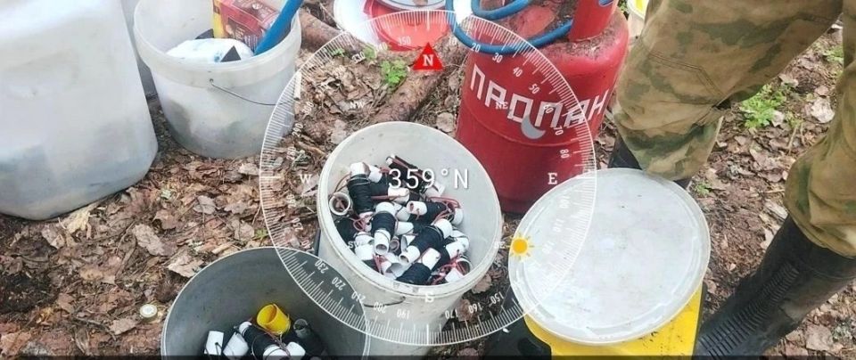 В природном парке «Вепсский лес» изъяли орудия незаконного лова В природном парке «Вепсский лес» изъяли орудия незаконного лова