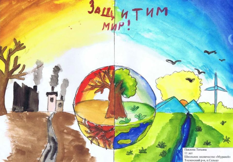 Юные ленинградцы своим творчеством призывают беречь лес Юные ленинградцы своим творчеством призывают беречь лес